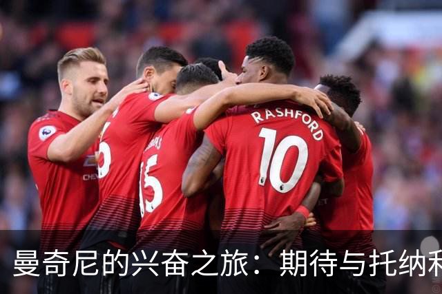 曼奇尼的兴奋之旅：期待与托纳利的战斗