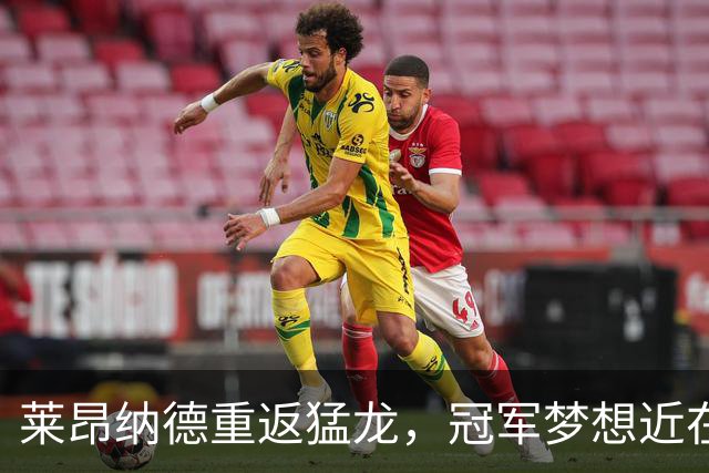 莱昂纳德重返猛龙，冠军梦想近在咫尺！